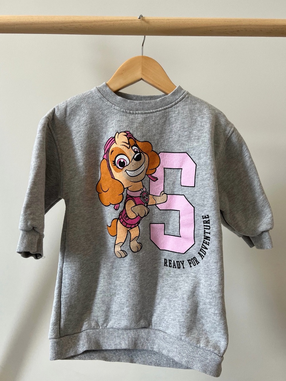 Zara Grey Sweatshirt Dress with Paw Patrol Skye Graphic Character 18-24M